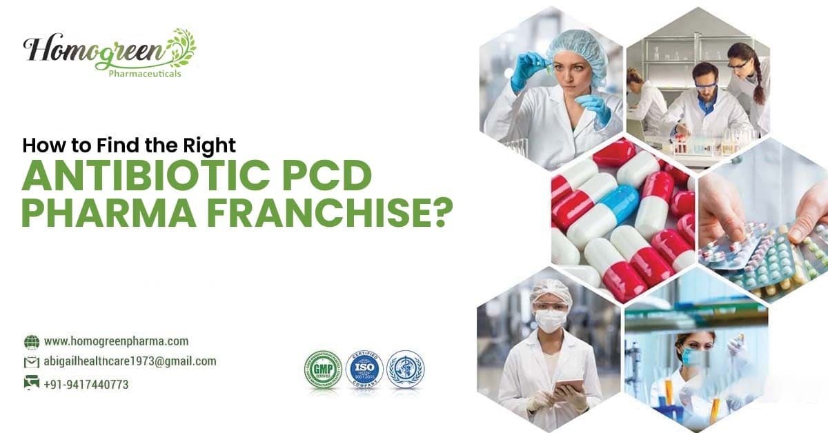 Antibiotic PCD Pharma Franchise